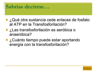 Sabrías decirme… ¿Qué otra sustancia cede enlaces de fosfato al ATP en la Transfosforilación? ¿Las transfosforilación es aeróbica o anaeróbica? ¿Cuánto tiempo puede estar aportando energía con la transfosforilación? Índice 