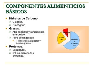 COMPONENTES ALIMENTICIOS BÁSICOS Hidratos de Carbono . Glucosa. Glucógeno. Grasas . Alta cantidad y rendimiento energético. Pero difícil acceso. Triglicéridos a glicerol y ácidos grasos. Proteínas . Estructural. 5% en actividades extremas. 