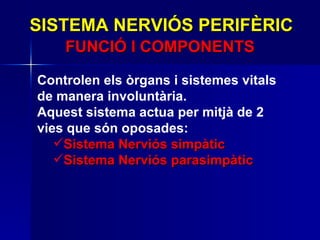 SISTEMA NERVIÓS PERIFÈRIC Controlen els òrgans i sistemes vitals de manera involuntària.  Aquest sistema actua per mitjà de 2 vies que són oposades:  Sistema Nerviós simpàtic Sistema Nerviós parasimpàtic FUNCIÓ I COMPONENTS 