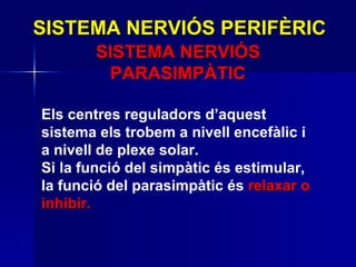 SISTEMA NERVIÓS PERIFÈRIC SISTEMA NERVIÓS PARASIMPÀTIC Els centres reguladors d’aquest sistema els trobem a nivell encefàlic i a nivell de plexe solar.  Si la funció del simpàtic és estimular, la funció del parasimpàtic és  relaxar o inhibir. 