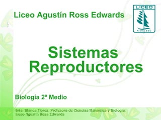 Liceo Agustín Ross Edwards ,[object Object],[object Object]