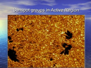 SSuunnssppoott ggrroouuppss iinn AAccttiivvee RReeggiioonn 
 