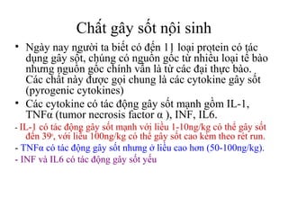 Chất gây sốt nội sinh
• Ngày nay người ta biết có đến 11 loại protein có tác
  dụng gây sốt, chúng có nguồn gốc từ nhiều loại tế bào
  nhưng nguồn gốc chính vẫn là từ các đại thực bào.
  Các chất này được gọi chung là các cytokine gây sốt
  (pyrogenic cytokines)
• Các cytokine có tác động gây sốt mạnh gồm IL-1,
  TNFα (tumor necrosis factor α ), INF, IL6.
- IL-1 có tác động gây sốt mạnh với liều 1-10ng/kg có thể gây sốt
   đến 39o, với liều 100ng/kg có thể gây sốt cao kèm theo rét run.
- TNFα có tác động gây sốt nhưng ở liều cao hơn (50-100ng/kg).
- INF và IL6 có tác động gây sốt yếu
 