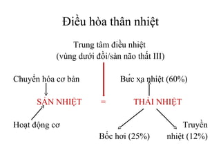 Điều hòa thân nhiệt
               Trung tâm điều nhiệt
           (vùng dưới đồi/sàn não thất III)

Chuyển hóa cơ bản            Bức xạ nhiệt (60%)

      SẢN NHIỆT         =        THẢI NHIỆT

Hoạt động cơ                                      Truyền
                       Bốc hơi (25%)          nhiệt (12%)
 