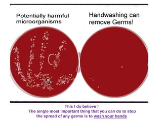 This I do believe !
The single most important thing that you can do to stop
the spread of any germs is to wash your hands
 