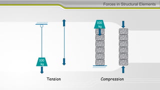Forces in Structural Elements
100
kg
Compression
100
kg
Tension
 
