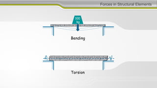 Forces in Structural Elements
100
kg
Bending
Torsion
 