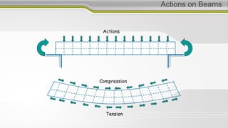 Actions on Beams
Tension
Compression
Actions
 