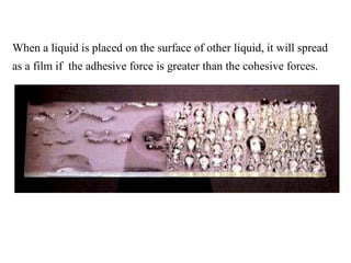 When a liquid is placed on the surface of other liquid, it will spread
as a film if the adhesive force is greater than the cohesive forces.
 