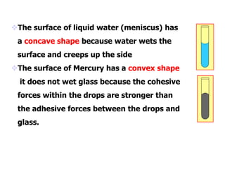 The surface of liquid water (meniscus) has
a concave shape because water wets the
surface and creeps up the side
The surface of Mercury has a convex shape
it does not wet glass because the cohesive
forces within the drops are stronger than
the adhesive forces between the drops and
glass.
 