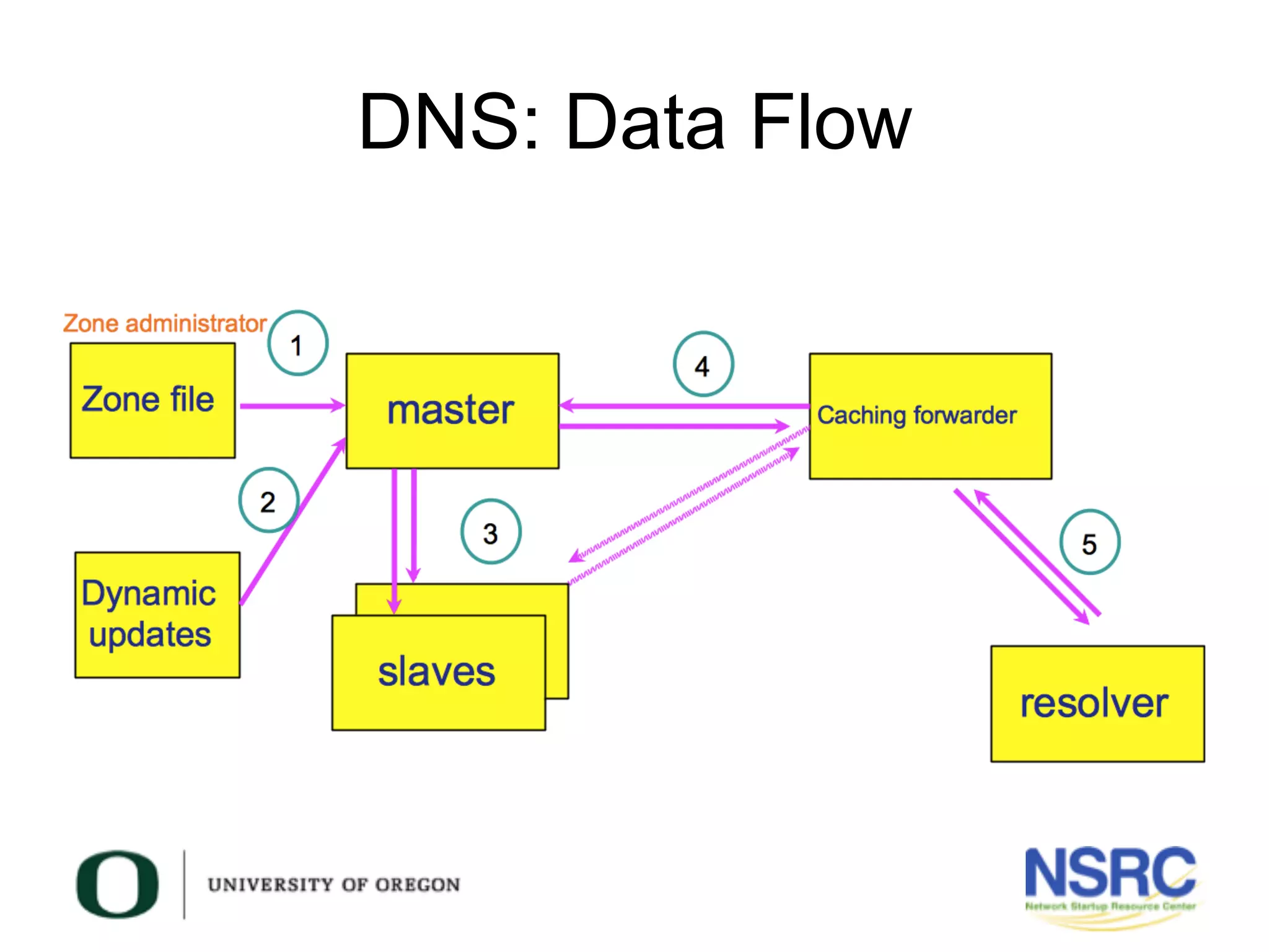 DNS: Data Flow
 