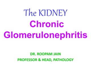 The KIDNEY
Chronic
Glomerulonephritis
DR. ROOPAM JAIN
PROFESSOR & HEAD, PATHOLOGY
 