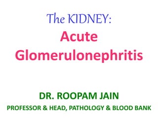 The KIDNEY:
Acute
Glomerulonephritis
DR. ROOPAM JAIN
PROFESSOR & HEAD, PATHOLOGY & BLOOD BANK
 