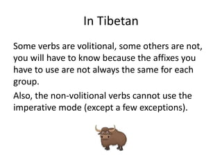 In Tibetan
Some verbs are volitional, some others are not,
you will have to know because the affixes you
have to use are not always the same for each
group.
Also, the non-volitional verbs cannot use the
imperative mode (except a few exceptions).