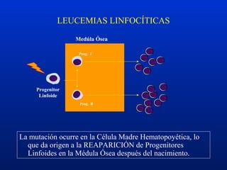 Progenitor
Linfoide
Prog. T
Prog. B
LEUCEMIAS LINFOCÍTICAS
Medúla Ósea
La mutación ocurre en la Célula Madre Hematopoyética, lo
que da origen a la REAPARICIÓN de Progenitores
Linfoides en la Médula Ósea después del nacimiento.
 