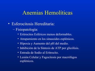 Anemias Hemolíticas
• Esferocitosis Hereditaria:
– Fisiopatología:
• Eritrocitos Esféricos menos deformables.
• Atrapamiento en los sinusoides esplénicos.
• Hipoxia y Aumento del pH del medio.
• Inhibición de la Síntesis de ATP por glicólisis.
• Entrada de Sodio al Eritrocito.
• Lesión Celular y Fagocitosis por macrófagos
esplénicos.
 