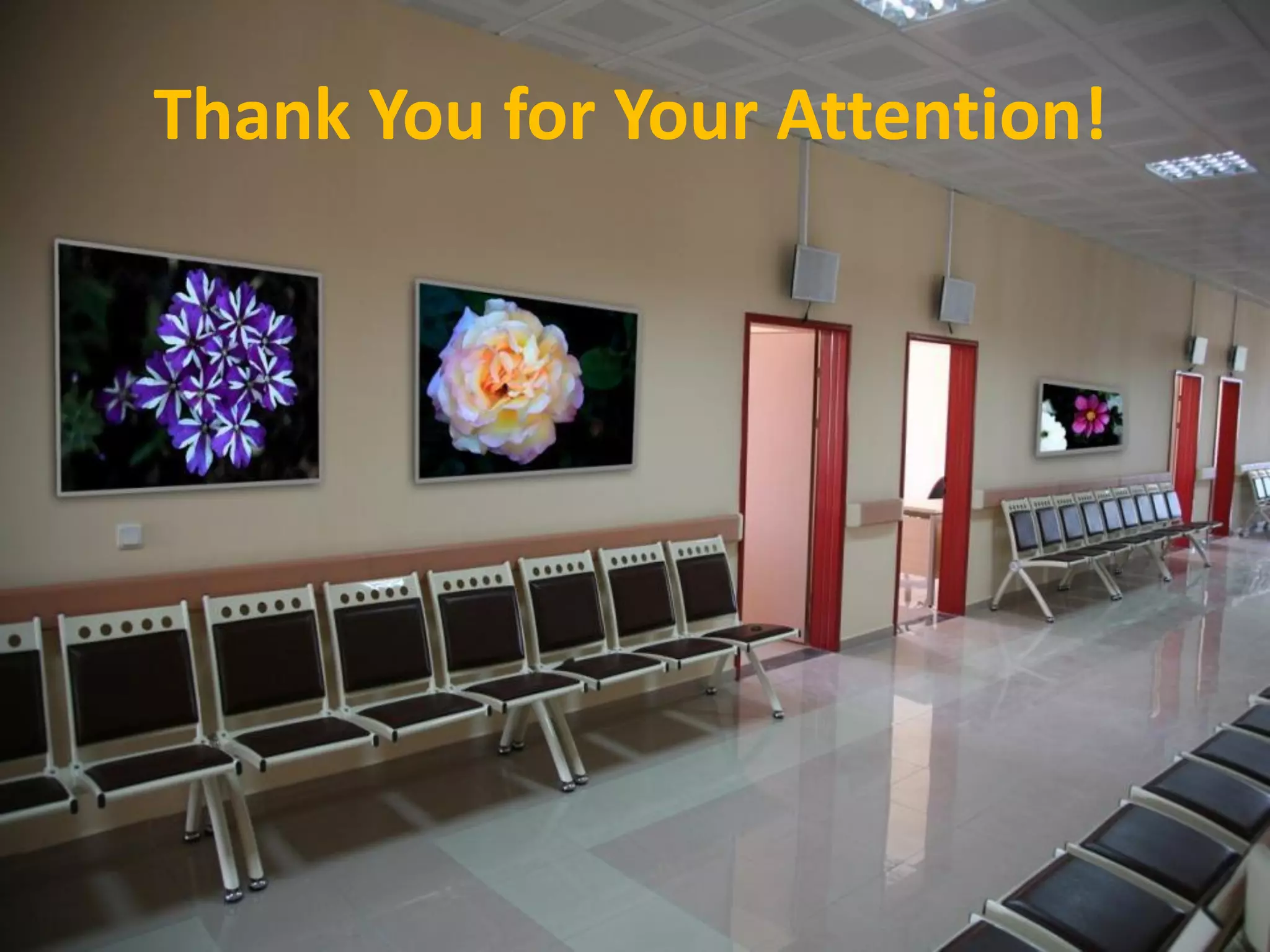 Thank You for Your Attention!
 