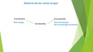 Sistema de las venas ácigos
Se describe:
A la derecha
Vena ácigos
A la izquierda
Vena hemiacigos
Vena hemiacigos accesoria
 
