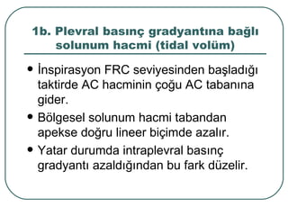 1b. Plevral basınç gradyantına bağlı
    solunum hacmi (tidal volüm)
   İnspirasyon FRC seviyesinden başladığı
    taktirde AC hacminin çoğu AC tabanına
    gider.
   Bölgesel solunum hacmi tabandan
    apekse doğru lineer biçimde azalır.
   Yatar durumda intraplevral basınç
    gradyantı azaldığından bu fark düzelir.
 
