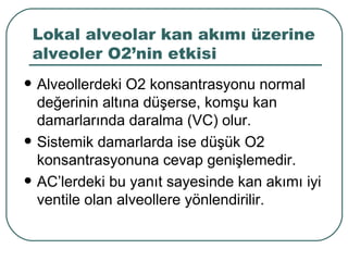 Lokal alveolar kan akımı üzerine
    alveoler O2’nin etkisi
   Alveollerdeki O2 konsantrasyonu normal
    değerinin altına düşerse, komşu kan
    damarlarında daralma (VC) olur.
   Sistemik damarlarda ise düşük O2
    konsantrasyonuna cevap genişlemedir.
   AC’lerdeki bu yanıt sayesinde kan akımı iyi
    ventile olan alveollere yönlendirilir.
 