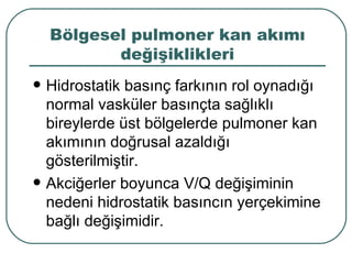 Bölgesel pulmoner kan akımı
           değişiklikleri
   Hidrostatik basınç farkının rol oynadığı
    normal vasküler basınçta sağlıklı
    bireylerde üst bölgelerde pulmoner kan
    akımının doğrusal azaldığı
    gösterilmiştir.
   Akciğerler boyunca V/Q değişiminin
    nedeni hidrostatik basıncın yerçekimine
    bağlı değişimidir.
 