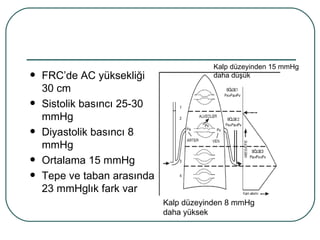 Kalp düzeyinden 15 mmHg
   FRC’de AC yüksekliği                 daha düşük
    30 cm
   Sistolik basıncı 25-30
    mmHg
   Diyastolik basıncı 8
    mmHg
   Ortalama 15 mmHg
   Tepe ve taban arasında
    23 mmHglık fark var
                             Kalp düzeyinden 8 mmHg
                             daha yüksek
 