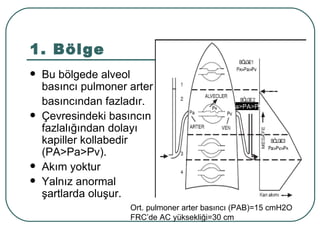 1. Bölge
   Bu bölgede alveol
    basıncı pulmoner arter
    basıncından fazladır.                      Pa>PA>PV
   Çevresindeki basıncın
    fazlalığından dolayı
    kapiller kollabedir
    (PA>Pa>Pv).
   Akım yoktur
   Yalnız anormal
    şartlarda oluşur.
                     Ort. pulmoner arter basıncı (PAB)=15 cmH2O
                     FRC’de AC yüksekliği=30 cm
 