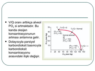    V/Q oranı arttıkça alveol
    PO2 si artmaktadır. Bu
    kanda oksijen
    konsantrasyonunun
    artması anlamına gelir.
   Dolayısıyla parsiyel
    karbondioksit basıncıyla
    karbondioksit
    konsantrasyonu
    arasındaki ilişki değişir.
 