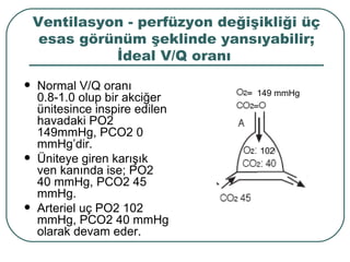 Ventilasyon - perfüzyon değişikliği üç
     esas görünüm şeklinde yansıyabilir;
              İdeal V/Q oranı
   Normal V/Q oranı
                                 149 mmHg
    0.8-1.0 olup bir akciğer
    ünitesince inspire edilen
    havadaki PO2
    149mmHg, PCO2 0
    mmHg’dir.                       2
                                  102
   Üniteye giren karışık
    ven kanında ise; PO2
    40 mmHg, PCO2 45
    mmHg.
   Arteriel uç PO2 102
    mmHg, PCO2 40 mmHg
    olarak devam eder.
 