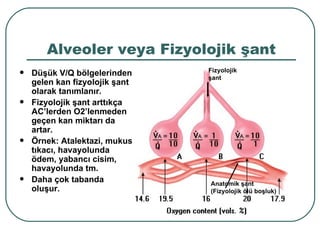 Alveoler veya Fizyolojik şant
                                Fizyolojik
   Düşük V/Q bölgelerinden     şant
    gelen kan fizyolojik şant
    olarak tanımlanır.
   Fizyolojik şant arttıkça
    AC’lerden O2’lenmeden
    geçen kan miktarı da
    artar.
   Örnek: Atalektazi, mukus
    tıkacı, havayolunda
    ödem, yabancı cisim,
    havayolunda tm.
   Daha çok tabanda            Anatomik şant
    oluşur.                     (Fizyolojik ölü boşluk)
 