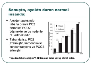 Sonuçta, ayakta duran normal
    insanda;
   Akciğer apeksinde
    tabana oranla PO2
    artmakta PCO2
    düşmekte ve bu nedenle
    pH artmaktadır.
   Tabanda ise; PO2
    azalmıştır, karbondioksit
    konsantrasyonu ve PCO2
    artmıştır

    Tepeden tabana doğru V, Q’dan çok daha yavaş olarak artar.
 