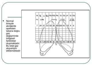    Normal
    bireyde
    akciğerde
    apeksten
    tabana doğru
    gaz
    değişiminde
    bölgesel
    farklılıklar
    oluşmaktadır.
    Bu total gaz
    alışverişini
    etkilemektedir
 