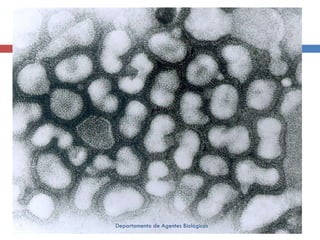 Departamento de Agentes Biológicos 