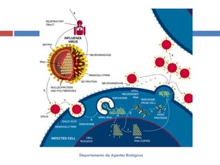 Departamento de Agentes Biológicos 