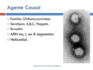 Agente Causal Familia: Orthomyxoviridae Serotipos: A,B,C, Thogoto. Envuelto ARN mc, l, en 8 segmentos Helicoidal. Departamento de Agentes Biológicos 