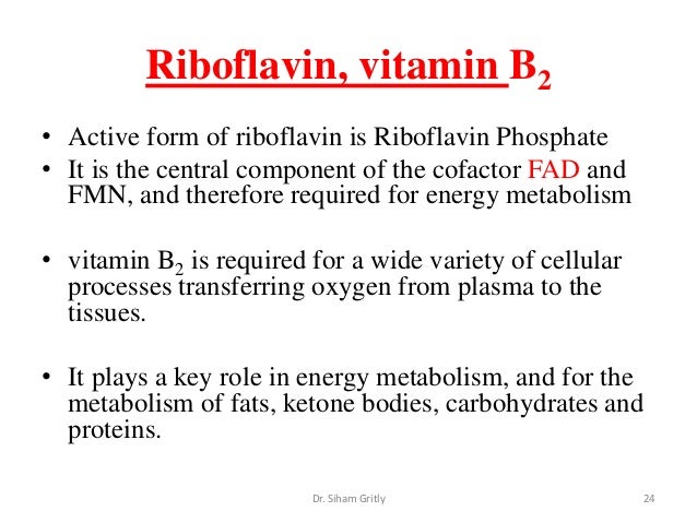 7 Vitamins And Cofactors