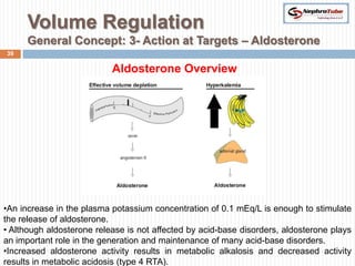 Renal Physiology (VII) - Volume Regulation - Dr. Gawad | PPTX