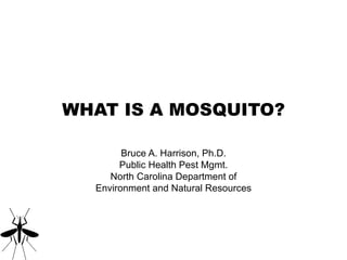 WHAT IS A MOSQUITO? Bruce A. Harrison, Ph.D. Public Health Pest Mgmt. North Carolina Department of Environment and Natural Resources 