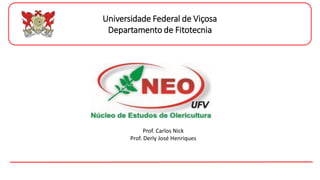 Universidade Federal de Viçosa
Departamento de Fitotecnia
Prof. Carlos Nick
Prof. Derly José Henriques
 