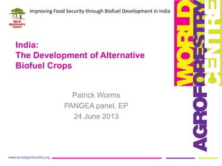 India:
The Development of Alternative
Biofuel Crops
Patrick Worms
PANGEA panel, EP
24 June 2013
Improving Food Security through Biofuel Development in India
 