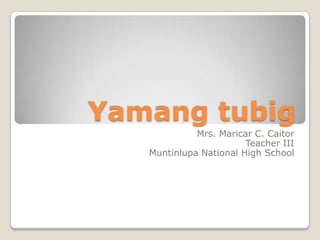Yamang tubig
             Mrs. Maricar C. Caitor
                        Teacher III
   Muntinlupa National High School
 