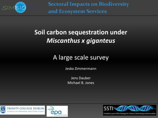 Soil carbon sequestration under
     Miscanthus x giganteus

      A large scale survey
          Jesko Zimmermann

            Jens Dauber
           Michael B. Jones
 