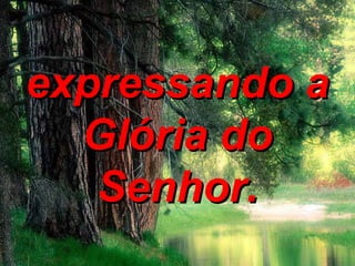 expressando aexpressando a
Glória doGlória do
Senhor.Senhor.
 