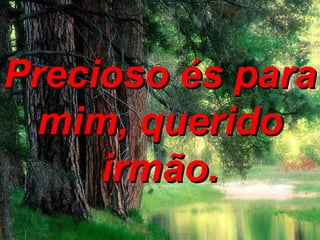 Precioso és paraPrecioso és para
mim, queridomim, querido
irmão.irmão.
 