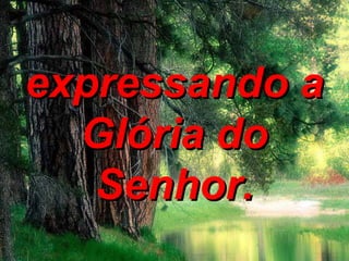 expressando aexpressando a
Glória doGlória do
Senhor.Senhor.
 