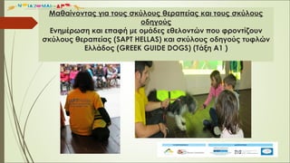 Μαθαίνοντας για τους σκύλους θεραπείας και τους σκύλους
οδηγούς
Ενημέρωση και επαφή με ομάδες εθελοντών που φροντίζουν
σκύλους θεραπείας (SAPT HELLAS) και σκύλους οδηγούς τυφλών
Ελλάδος (GREEK GUIDE DOGS) (Τάξη Α1 )
 