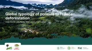 Colas Chervier, Julia Naime, Malte Ladewig, Arild Angelsen
Global typology of policies to reduce
deforestation
 