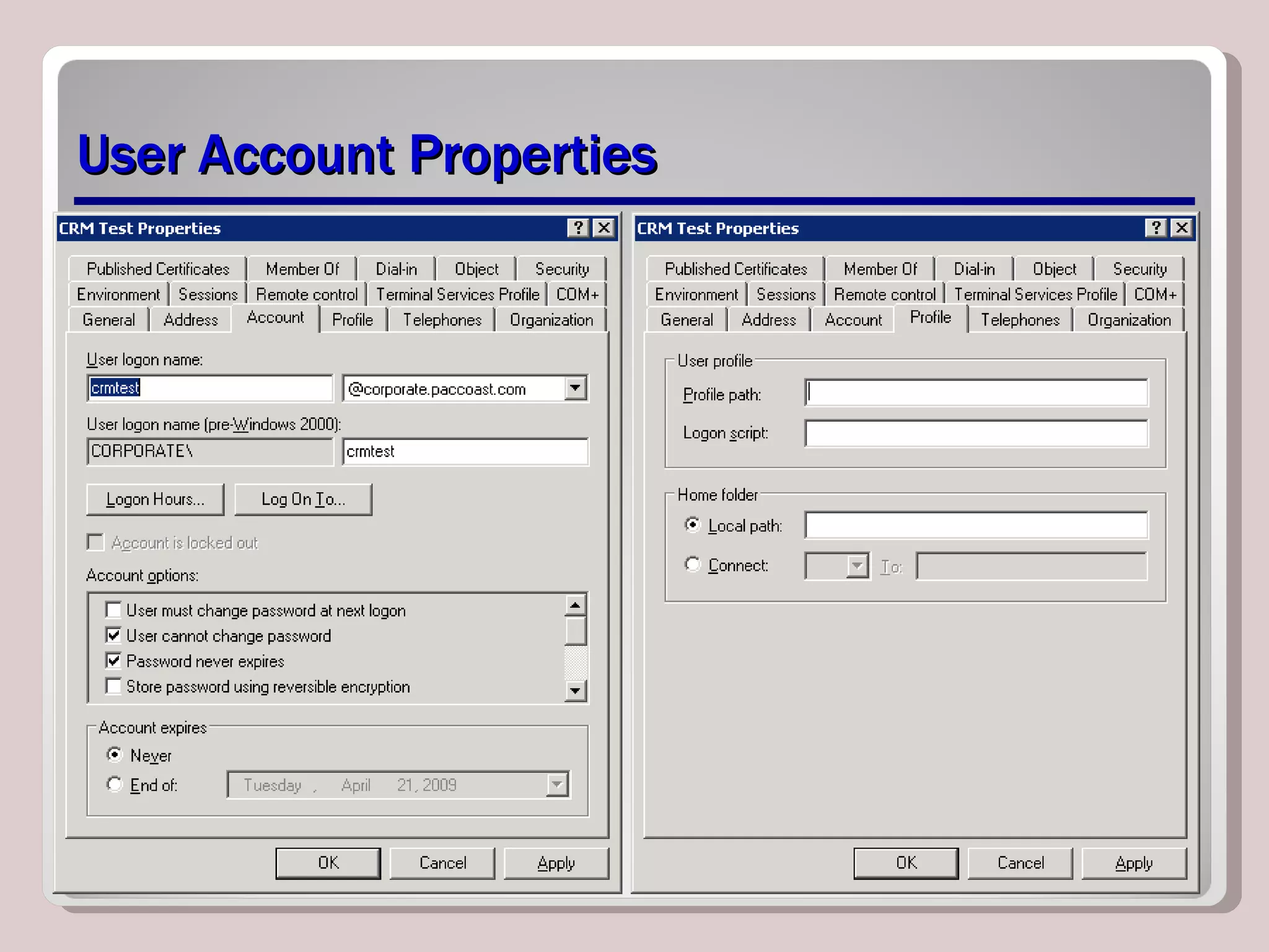 User Account Properties 
