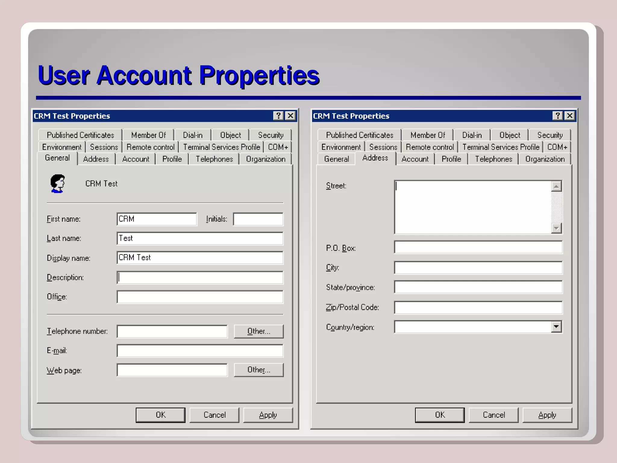 User Account Properties 