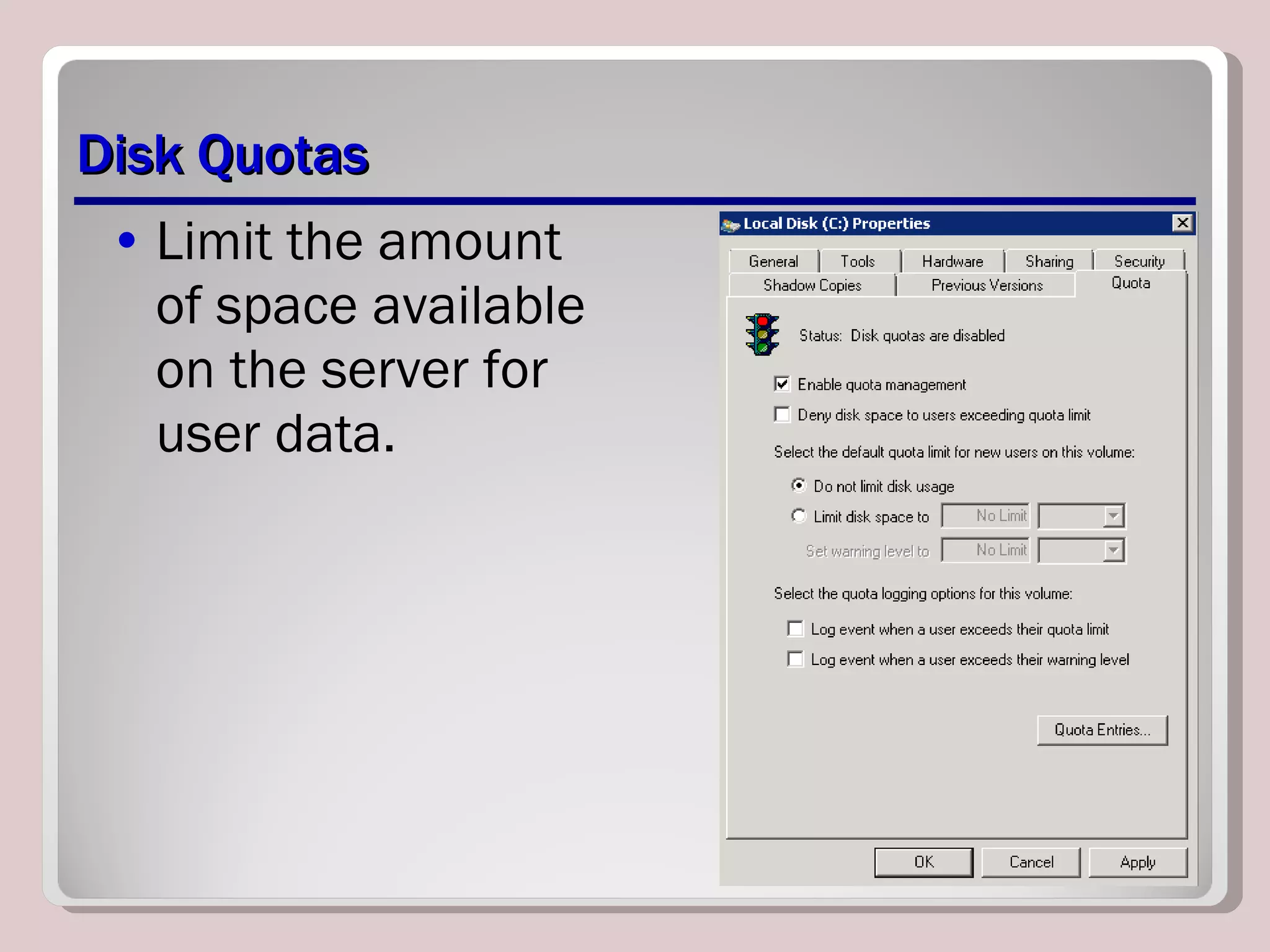 Disk Quotas Limit the amount of space available on the server for user data. 